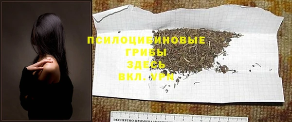 дживик Белоозёрский