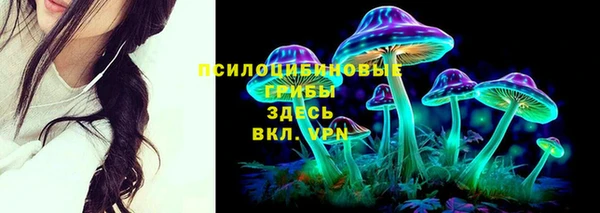 мяу мяу мука Белокуриха