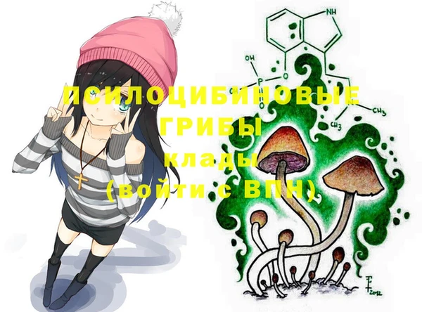 дживик Белоозёрский