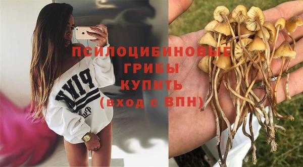 дживик Белоозёрский