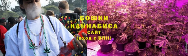 мяу мяу мука Белокуриха