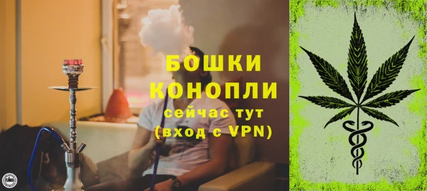 мяу мяу мука Белокуриха