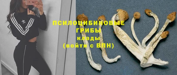 мяу мяу мука Белокуриха